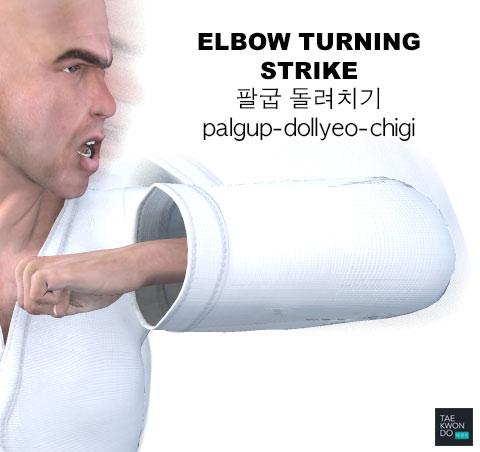 Elbow Turning Strike ( 팔굽 돌려치기 palgup-dollyeo-chigi )