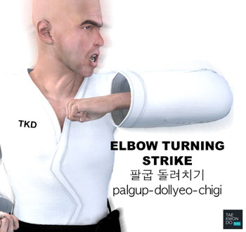 Elbow Turning Strike ( 팔굽 돌려치기 palgup-dollyeo-chigi )