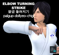 Elbow Turning Strike ( 팔굽 돌려치기 palgup-dollyeo-chigi )