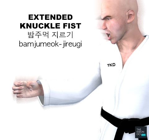 Extended Knuckle Fist ( 밤주먹 지르기 bamjumeok-jireugi )