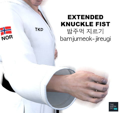 Extended Knuckle Fist ( 밤주먹 지르기 bamjumeok-jireugi )