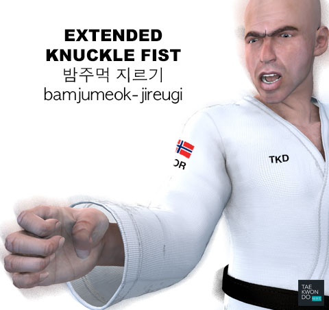 Extended Knuckle Fist ( 밤주먹 지르기 bamjumeok-jireugi )