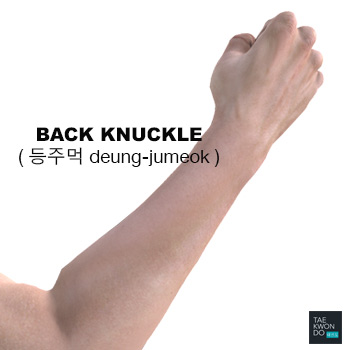 Back Knuckle ( 등주먹 deung-jumeok )