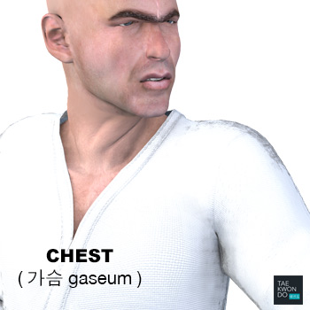 Chest ( 가슴 gaseum )