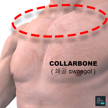 Collarbone ( 쇄골 swaegol )