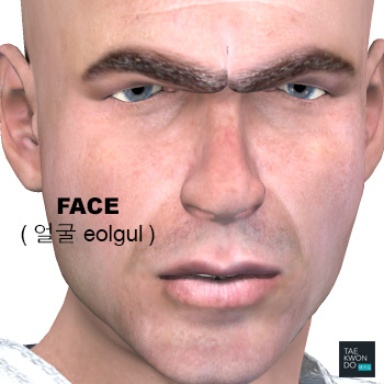 Face ( 얼굴 eolgul )