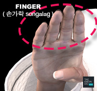 Finger ( 손가락 songalag )
