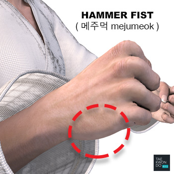 Hammer Fist ( 메주먹 mejumeok )