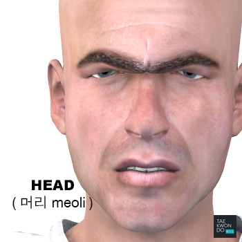 Head ( 머리 meoli )