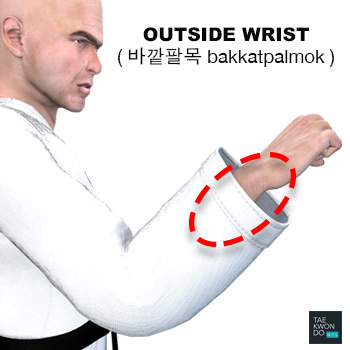 Outside Wrist ( 바깥팔목 bakkatpalmok )