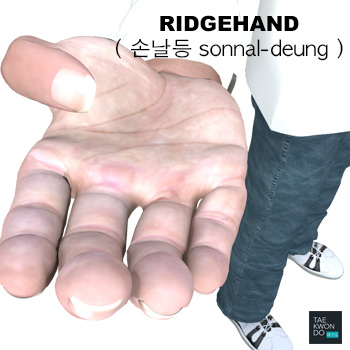 Ridgehand ( 손날등 sonnal-deung )