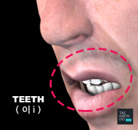 Teeth ( 이 i )