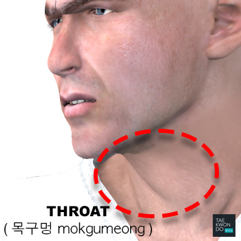 Throat ( 목구멍 mokgumeong )