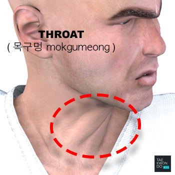 Throat ( 목구멍 mokgumeong )