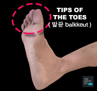 Tips of the Toes ( 발끝 balkkeut )