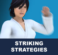 Taekwondo Striking Strategies
