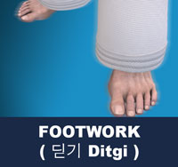 Footwork ( 딛기 ditgi ) | Taekwondo Preschool
