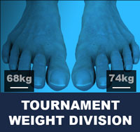 World Taekwondo (WT) Tournament Weight Categories