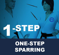 Taekwondo One-Step Sparring