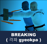 Taekwondo Breaking, the discipline of destroying inanimate materials such as wooden boards, bats, ice or bricks is a feature common to several Asian martial arts
