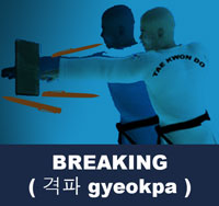 Taekwondo Breaking ( 격파 gyeokpa )