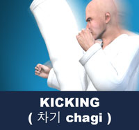 A kick is a physical strike using the foot, leg, or knee
