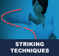 Strikes ( 치기 chigi ) | Taekwondo Preschool