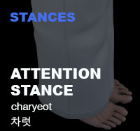 Taekwondo Attention Stance ( 차렷 charyeot )