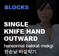 Taekwondo Single Knife Hand Outward Block ( 한손날 바깥막기 hansonnal-bakkat-makgi )