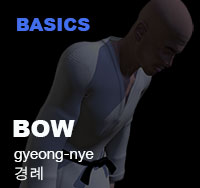Taekwondo Bow (kyeong nye)