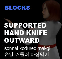 Taekwondo Supported Hand Blade Outward Block ( 손날 거들어 바깥막기 sonnal-kodureo-makgi )