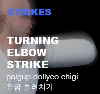 Taekwondo Turning Elbow Strike ( 팔굽 돌려치기 palgup-dollyeo-chigi )