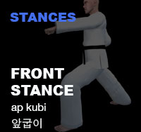 Taekwondo Front Stance ( 앞굽이 ap-kubi )