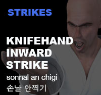 Taekwondo Knife Hand Inward Strike ( 손날 안치기 sonnal-an-chigi )