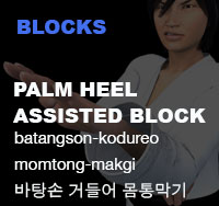 Palm Heel Assisted Block ( 바탕손 거들어 몸통막기 batangson-kodureo-momtong-makgi )