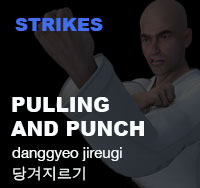 Taekwondo Pulling and Punching ( 당겨지르기 danggyeo-jireugi )
