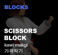 Taekwondo Scissor Block