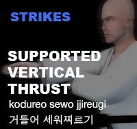 Taekwondo Supporting Vertical Thrust ( 거들어 세워찌르기 kodureo-sewo-jjireugi )