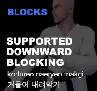 Taekwondo Supported Downward Block ( 거들어 내려막기 kodureo-naeryeo-makgi )