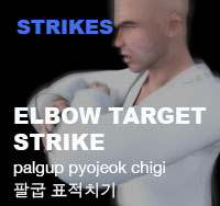 Taekwondo Elbow Target Strike ( 팔굽 표적치기 palgup-pyojeok-chigi )