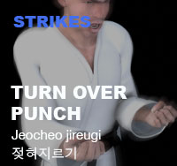 Taekwondo Turn Over Punch ( 젖혀지르기 jeocheo-jireugi )