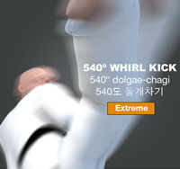 Whirl Kick 540º ( 540도 돌개차기 / 540º dolgae-chagi )