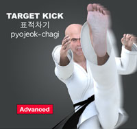 Target Kick ( 표적차기 pyojeok-chagi )