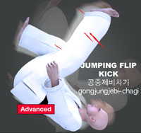 Jumping Flip Kick ( 공중제비차기 gongjungjebi-chagi )
