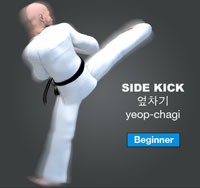 Side Kick ( 옆차기 yeop-chagi )