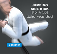 Jumping Side Kick ( 뛰어 옆차기 ttwieo-yeop-chagi )