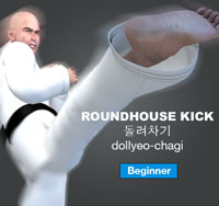 Roundhouse Kick ( 돌려차기 dollyeo-chagi )