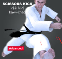 Scissor Kick ( 가위차기 kawi-chagi )
