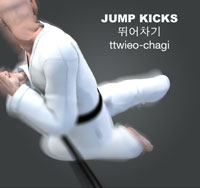 Jump Kicks ( 뛰어차기 ttwieo-chagi )