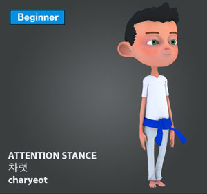 Attention Stance ( 차렷 charyeot )
